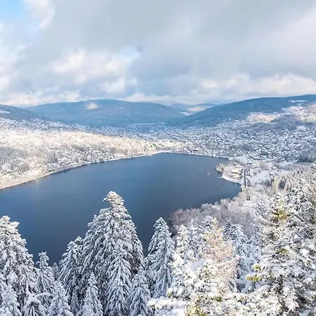 Petit Lutin à 250 M Du Bord Du De Gérardmer