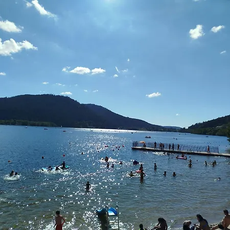 Petit Lutin A 250 M Du Bord Du De * جوراردُميه