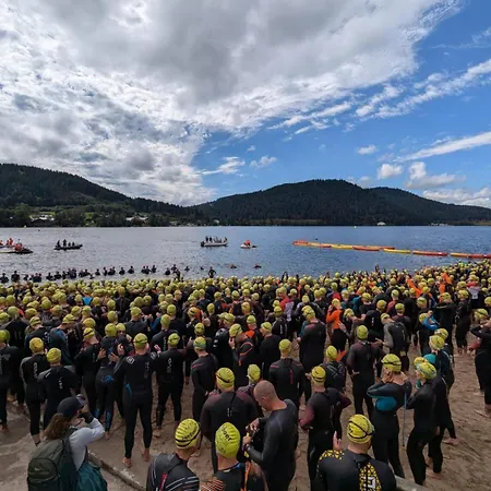 Petit Lutin A 250 M Du Bord Du De شقة جوراردُميه