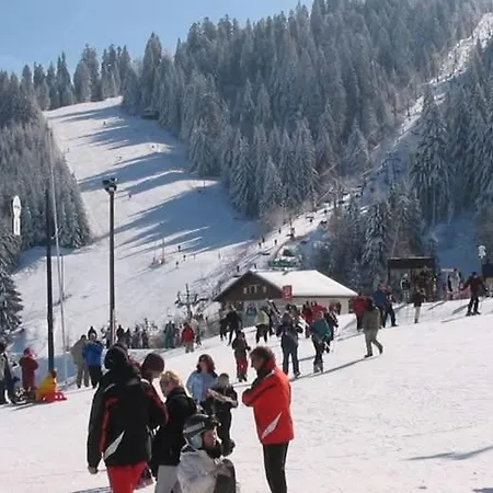 Petit Lutin A 250 M Du Bord Du De شقة *