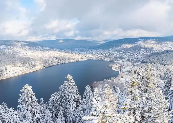 Petit Lutin A 250 M Du Bord Du De Gerardmer